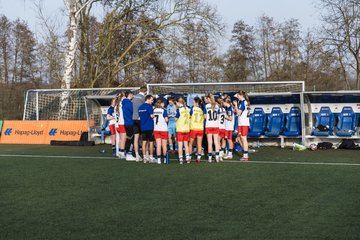Bild 465 - wBJ Hamburger SV - Hertha BSC : Ergebnis: 2:1